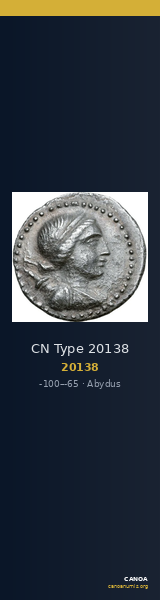 CN Type 20138 — CANOA