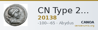 CN Type 20138 — CANOA