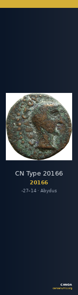CN Type 20166 — CANOA