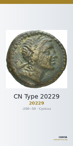 CN Type 20229 — CANOA