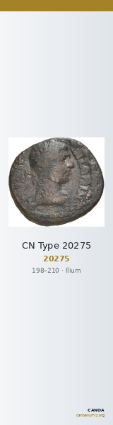 CN Type 20275 — CANOA