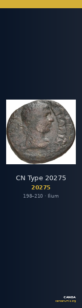 CN Type 20275 — CANOA