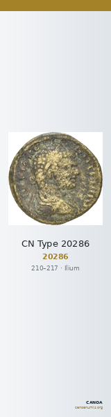 CN Type 20286 — CANOA