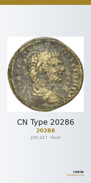 CN Type 20286 — CANOA