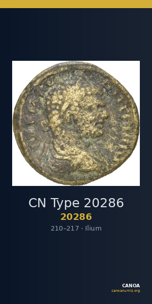 CN Type 20286 — CANOA