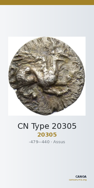 CN Type 20305 — CANOA