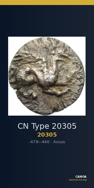CN Type 20305 — CANOA