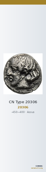 CN Type 20306 — CANOA