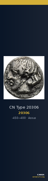 CN Type 20306 — CANOA
