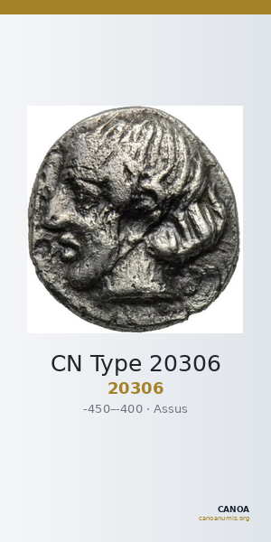 CN Type 20306 — CANOA