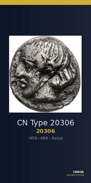 CN Type 20306 — CANOA