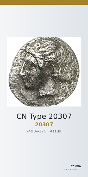 CN Type 20307 — CANOA