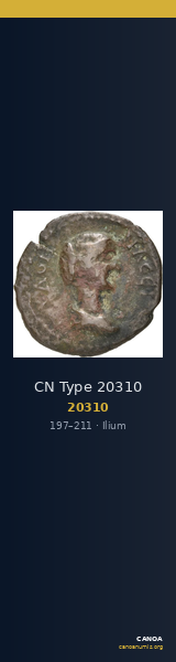 CN Type 20310 — CANOA