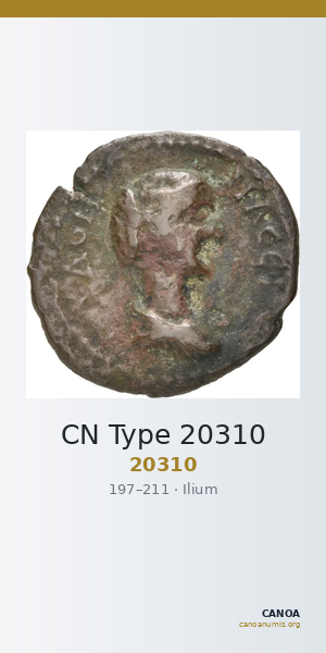 CN Type 20310 — CANOA