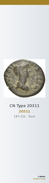 CN Type 20311 — CANOA