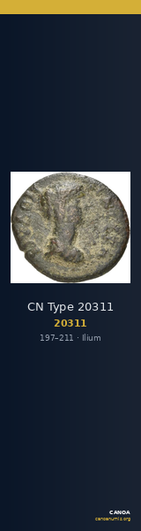 CN Type 20311 — CANOA