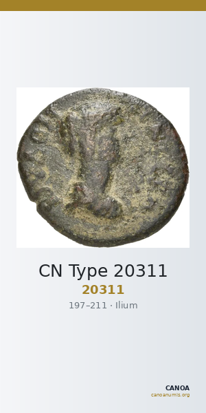 CN Type 20311 — CANOA