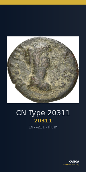 CN Type 20311 — CANOA