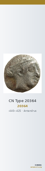 CN Type 20364 — CANOA