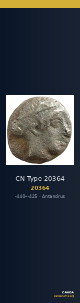 CN Type 20364 — CANOA