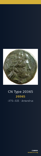 CN Type 20365 — CANOA