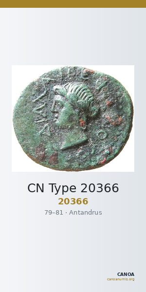 CN Type 20366 — CANOA