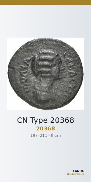 CN Type 20368 — CANOA
