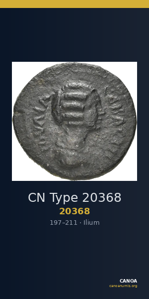 CN Type 20368 — CANOA