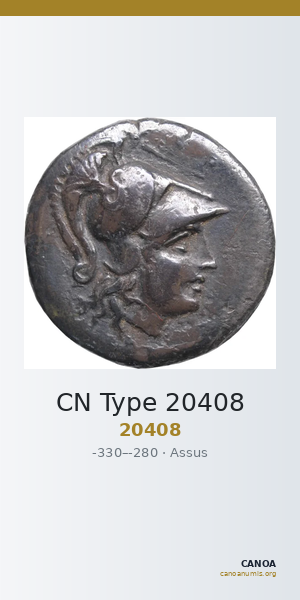 CN Type 20408 — CANOA
