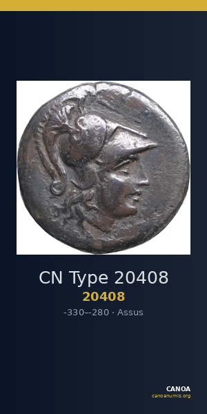 CN Type 20408 — CANOA