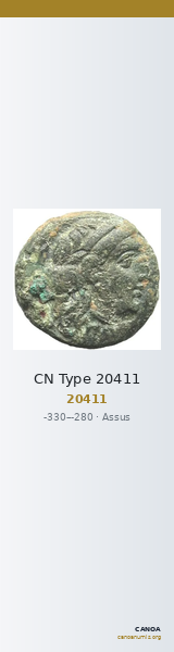 CN Type 20411 — CANOA