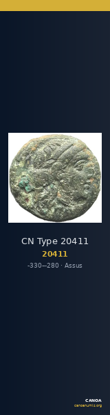 CN Type 20411 — CANOA