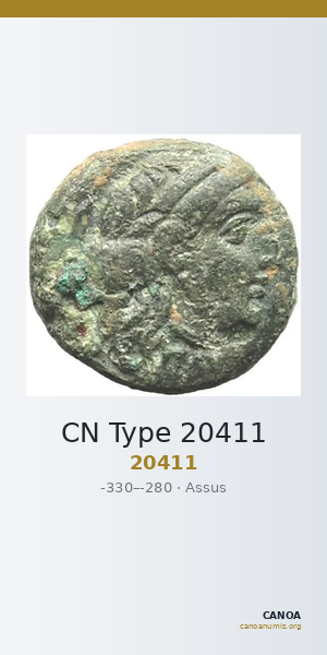 CN Type 20411 — CANOA