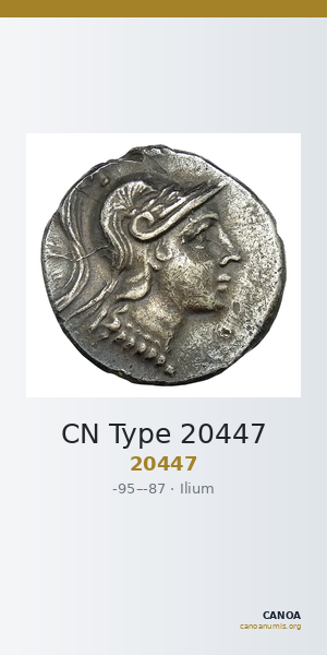CN Type 20447 — CANOA