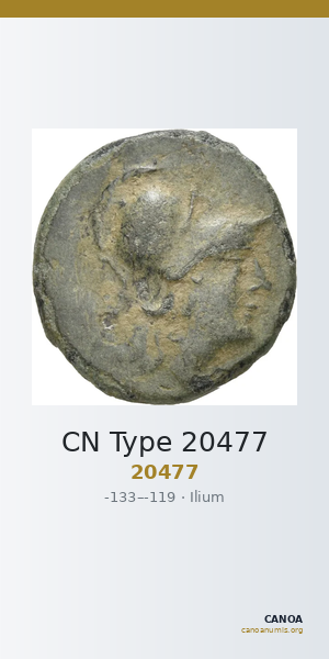 CN Type 20477 — CANOA