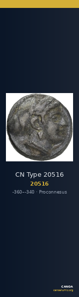 CN Type 20516 — CANOA