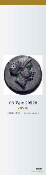 CN Type 20528 — CANOA