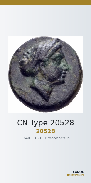 CN Type 20528 — CANOA