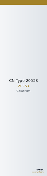 CN Type 20553 — CANOA
