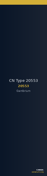 CN Type 20553 — CANOA