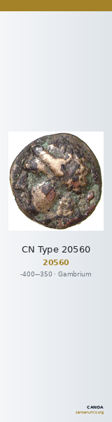 CN Type 20560 — CANOA