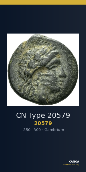CN Type 20579 — CANOA