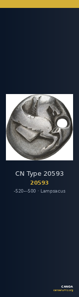 CN Type 20593 — CANOA