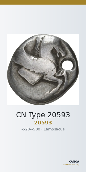 CN Type 20593 — CANOA