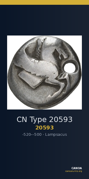 CN Type 20593 — CANOA