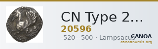 CN Type 20596 — CANOA