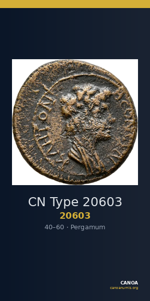 CN Type 20603 — CANOA