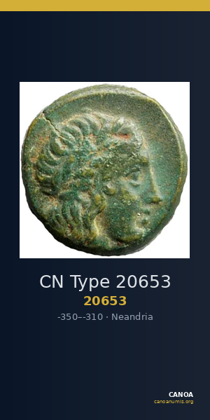 CN Type 20653 — CANOA