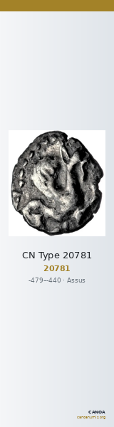 CN Type 20781 — CANOA
