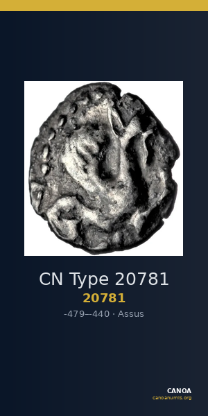 CN Type 20781 — CANOA